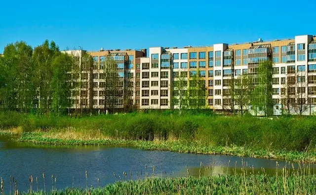 БФА в Озерках — фото 2